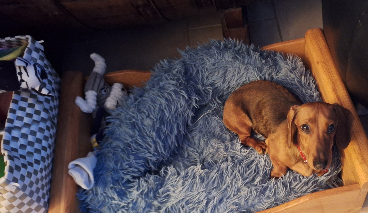 [Image: 20250516-211904.jpg]