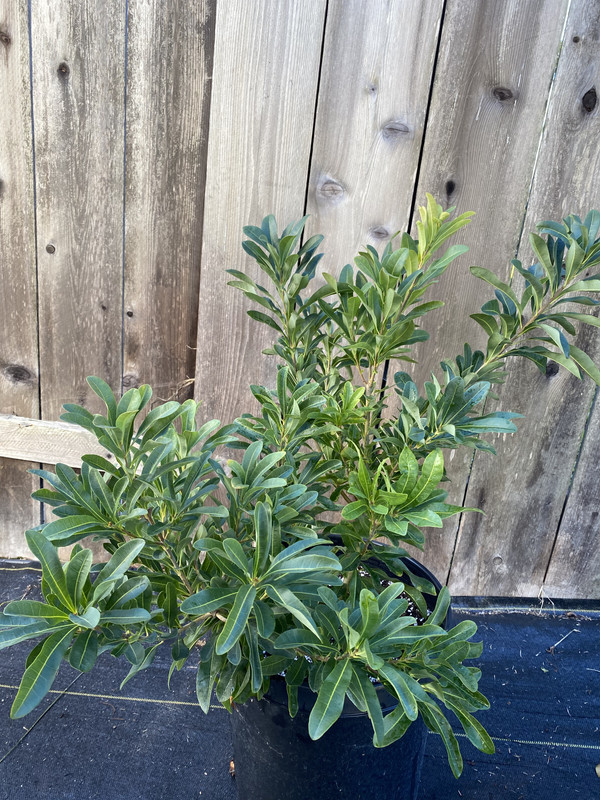 5CC05F2B-5DD0-4A6E-9E54-7201054DB871