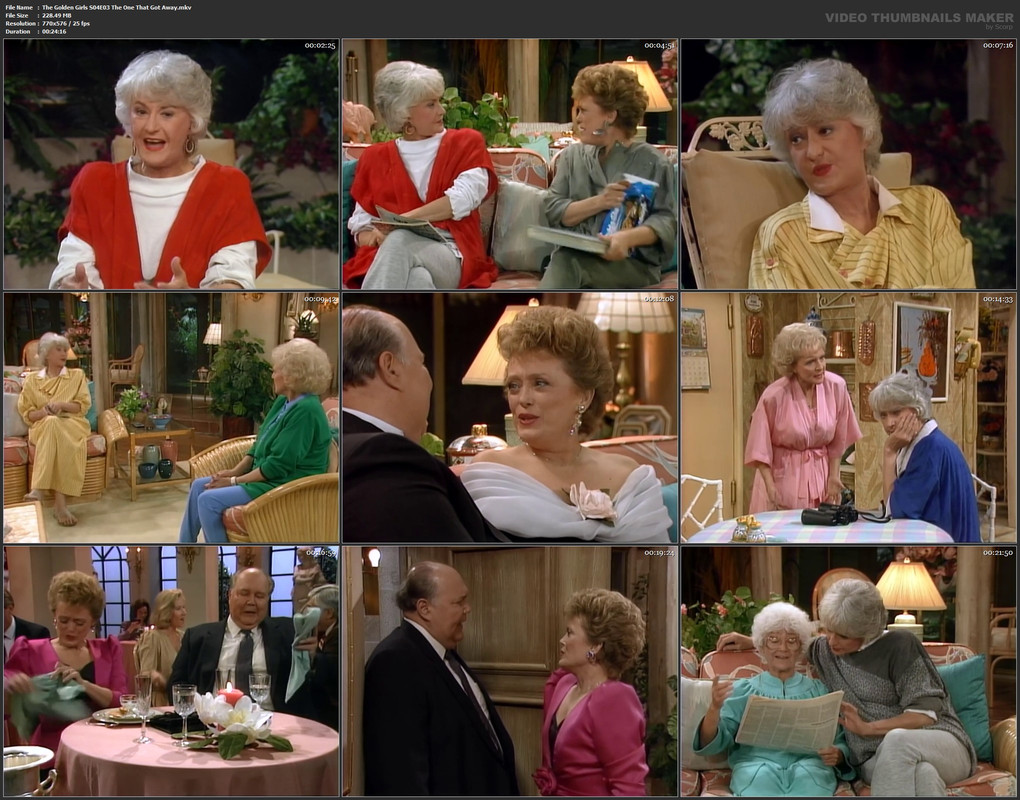 The Golden Girls S04E03 The One That Got Away.mkv