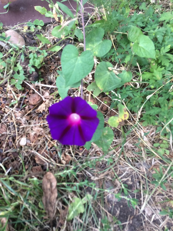 BC8DDA48-DEC0-4B7D-9BD4-A2796E68B896