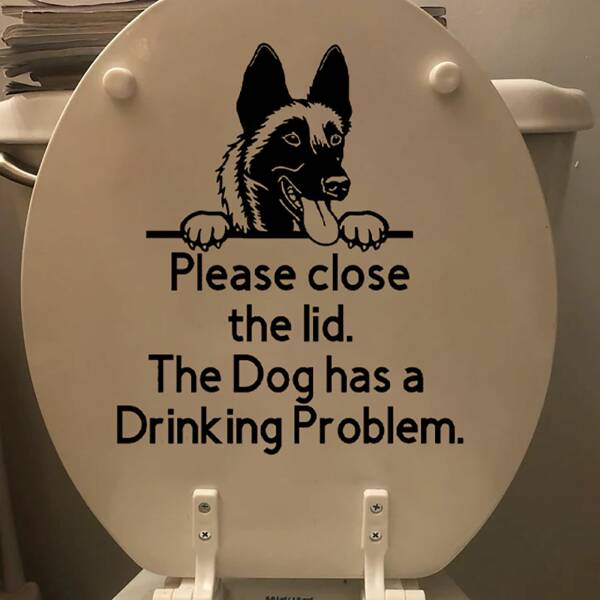 daily-picdump-20-8.jpg