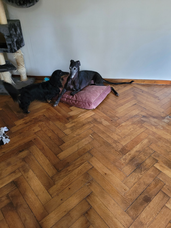 [Image: 20221012-141253.jpg]