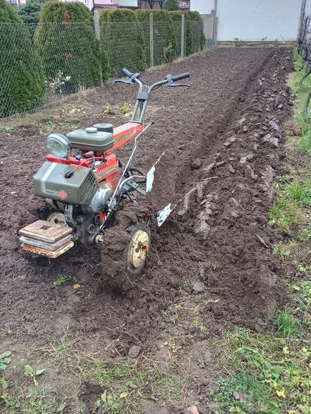 IMG 20251115 123804752 HDR