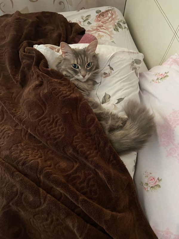 8ACC6FC6-369B-4B6F-B637-4F3169D7CBAF