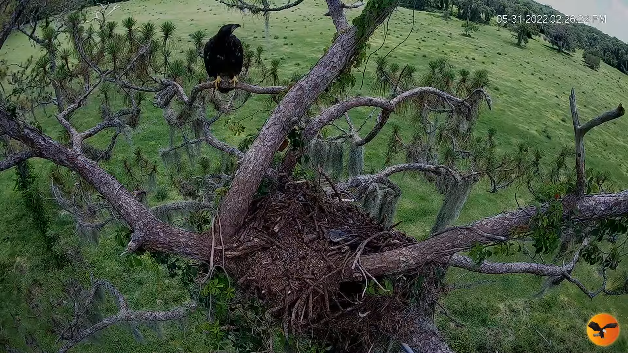 EC 4K Overhead Cam 13-20-55 screenshot