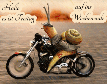 freitag