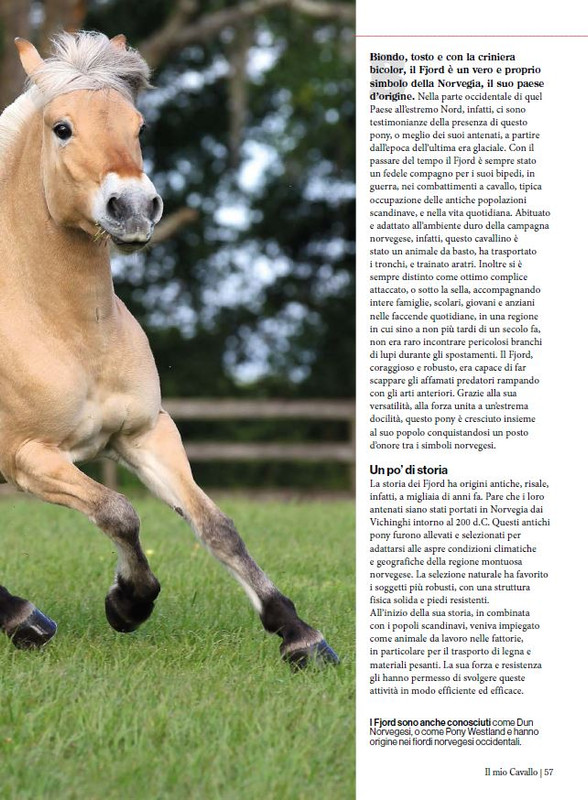 Il Mio Cav (Mag-Giu 2024) 8