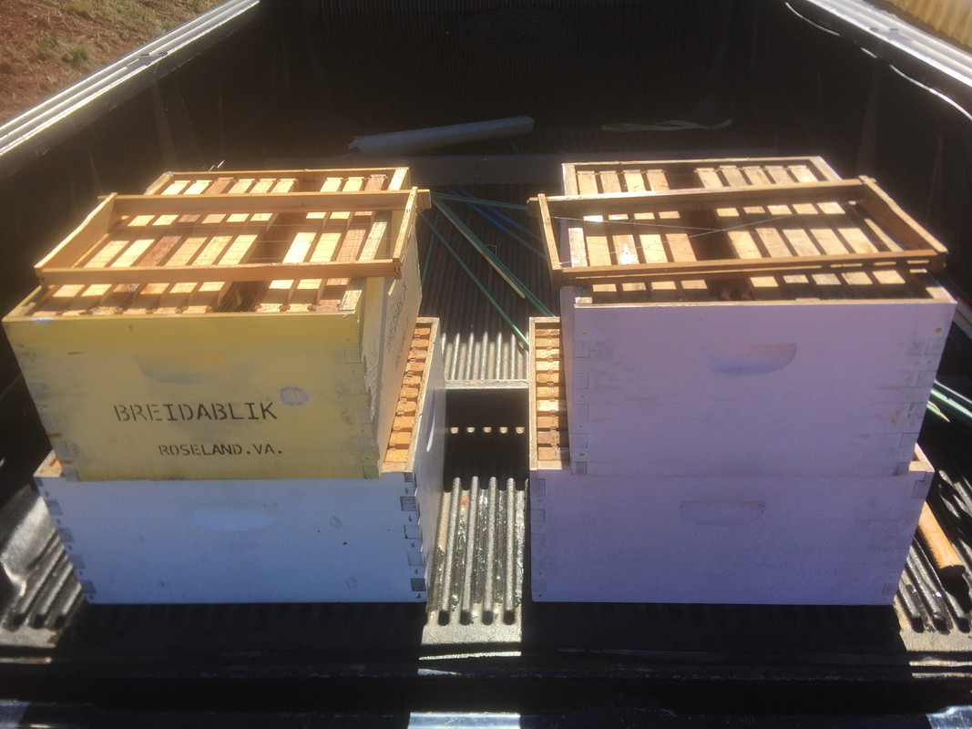 17-A8B53AB4-D5AD-40CF-AEF4-1CF1418C9827