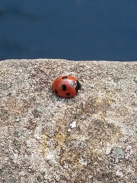 IMG_20230324_143726_2