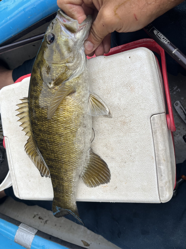 IMG-9094.jpg