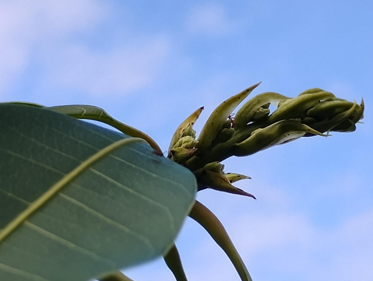 IMG 20251209 154117048