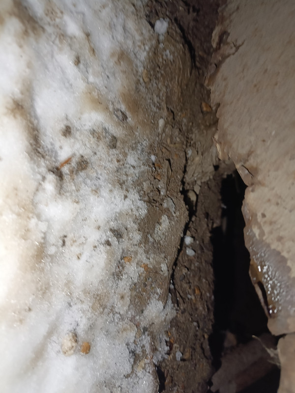 IMG 20260303 202811 215