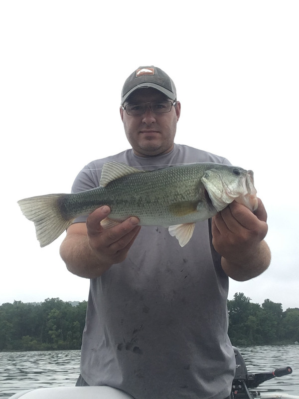 2A76B457-2B07-4D56-8D14-116D4453E731