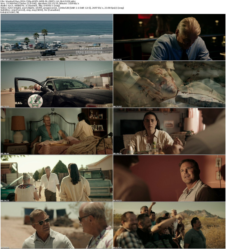 Wanted Man 2024 720p AMZN WEBDL DDP5 1 H 264FLUX SceneSource