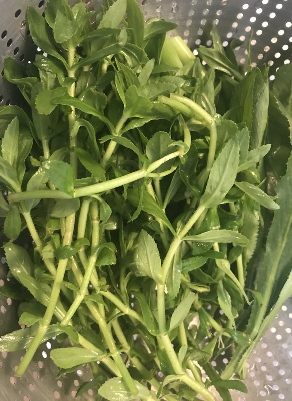 A784C8AB-3D69-4704-B1BA-D980523B7509