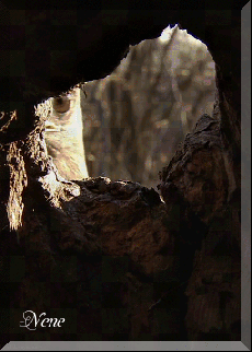 oie-q-Ms9d-I9-IWfv9-gif-uilmn