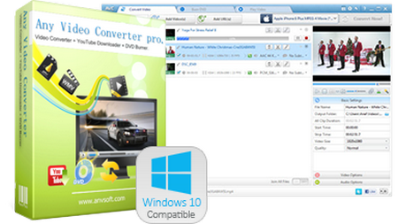Any Video Converter Professional 7.1.4 Multilingual