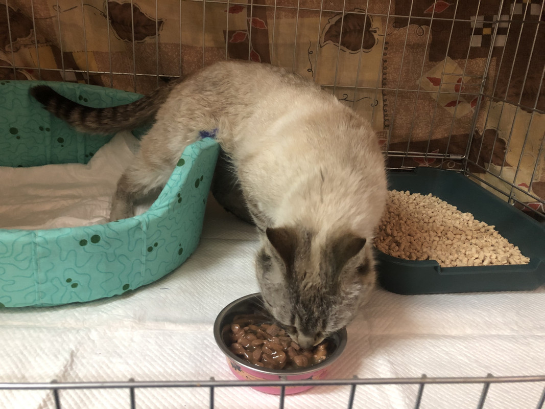 B368EFE0-4C83-41CA-AFA6-005FAECE6BE2