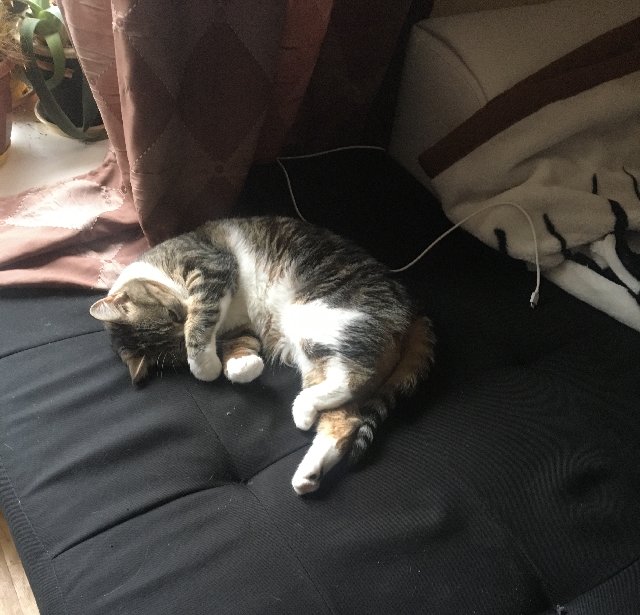 33-DF2538-59-DF-430-A-95-EA-843-AA88955-