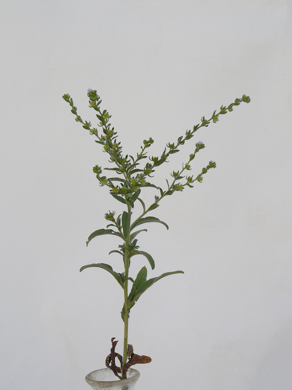 P1130889-1... (1024)