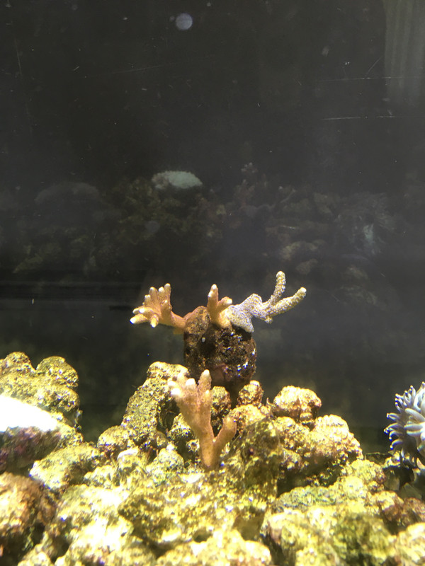 FF77C714-846B-4DA9-B8BC-862D2ECF75DF