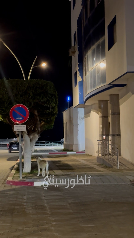 Sequence-02-00-02-25-08-Still007