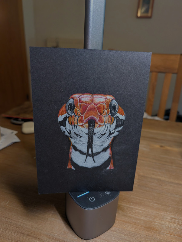 PXL_20250921_072452756~2