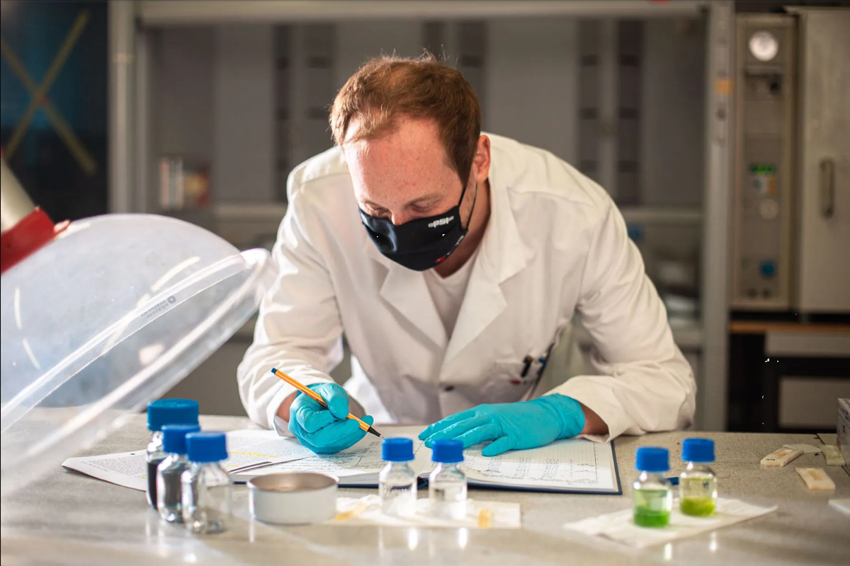 Biopolímeros podrían regenerar los huesos humanos: así funciona