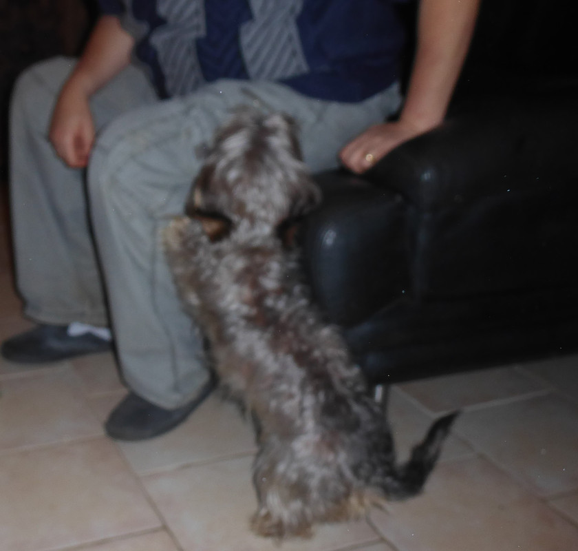 [Image: P1040186.jpg]