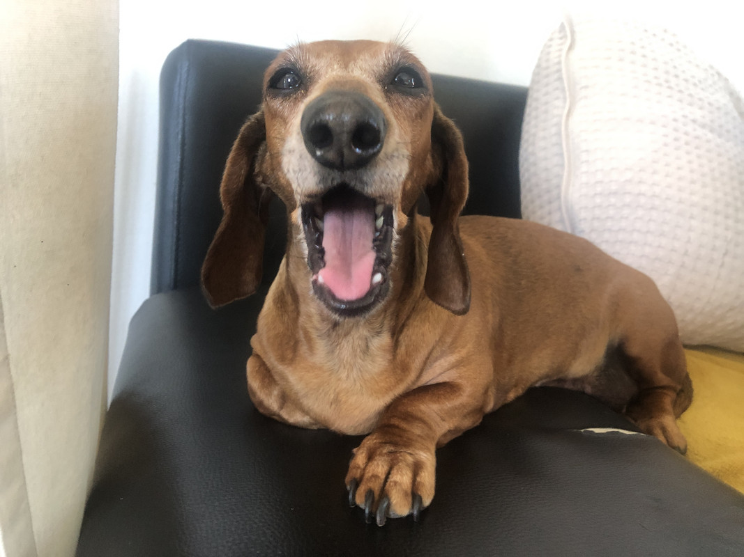 [Image: IMG-3461.jpg]