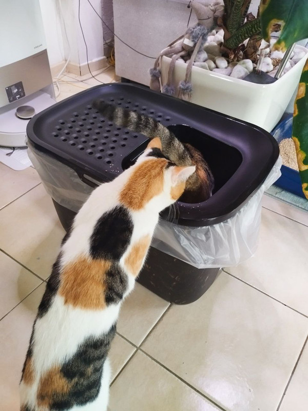 photo 2026 02 06 17 31 37