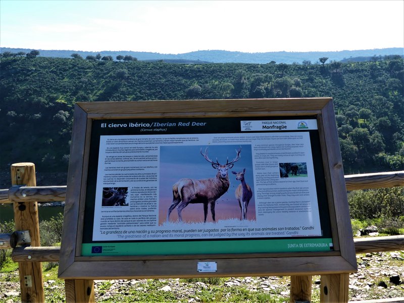 PARQUE NACIONAL DE MONFRAGÜE-2020/2023 - EXTREMADURA Y SUS PUEBLOS -2010-2023 (124)