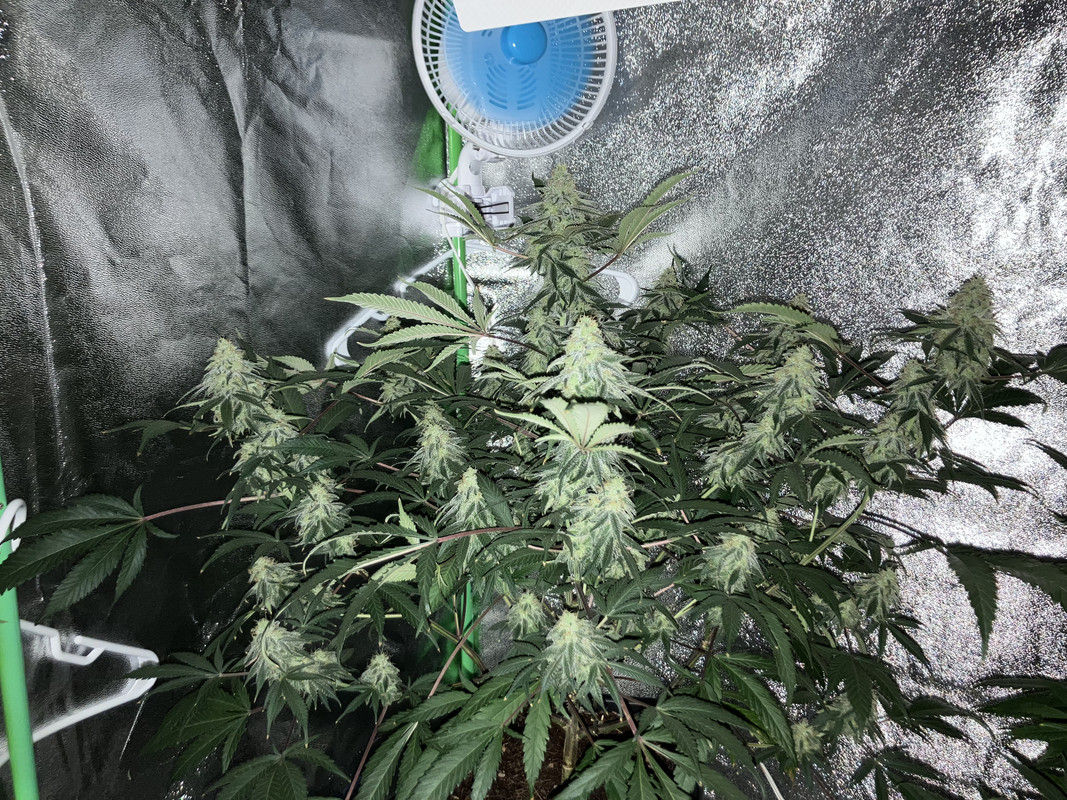 5EFBE182-E1EF-411E-A2CB-25D58F2FB875