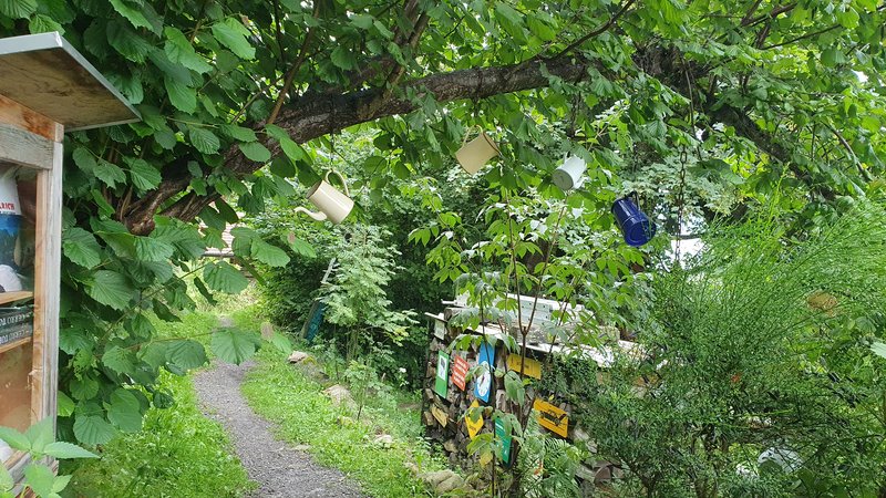 48 HORAS DE LLUVIA EN BEATENBERG - 50 sombras del verde en Suiza y Alemania (3)