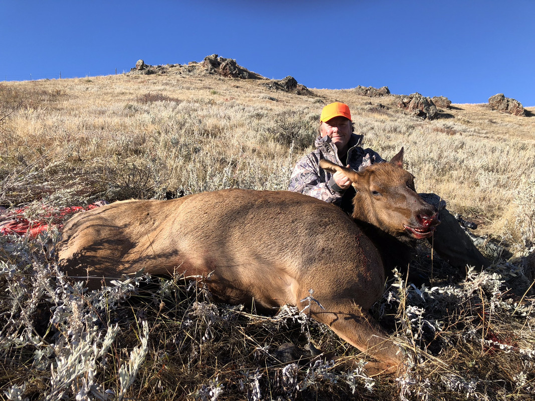 114FC271-A912-4AA2-BE5E-69A454BAC223