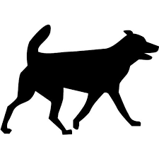 Dog Grooming