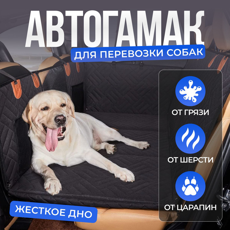 b60e398a8c314a6e9fab041178293bf0