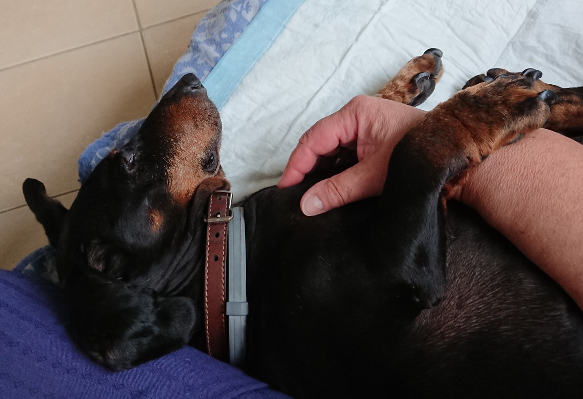 [Image: 20220907-142544.jpg]