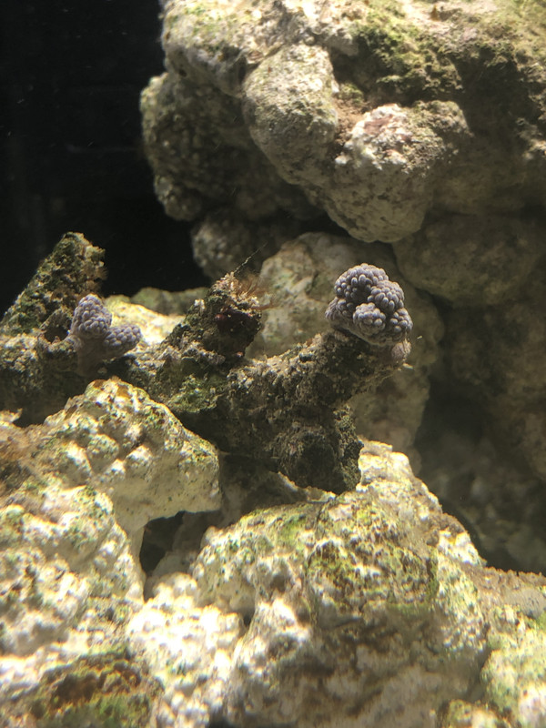 AF70622B-AB4F-4615-B0BE-67E46E3E7051