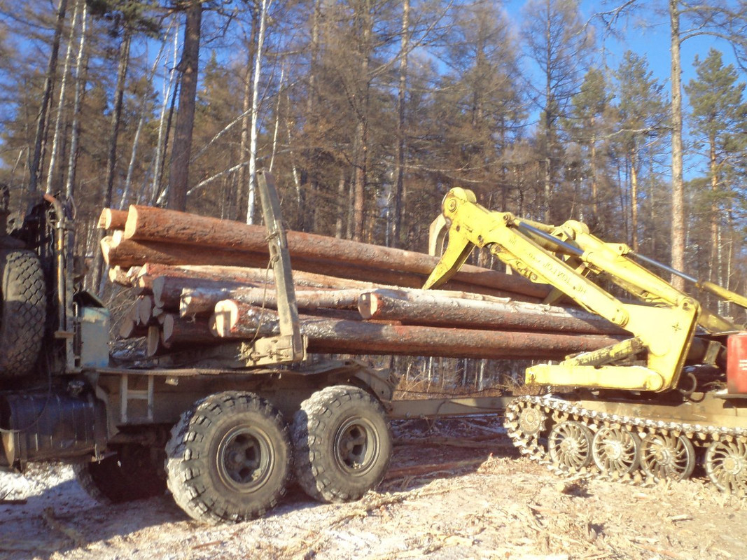 К?АЗ 64372 Лесовоз в Чите (4)