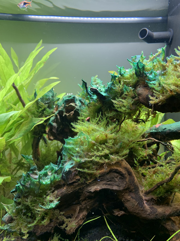 02C323CE-A403-4429-A4F5-31A9388454E5