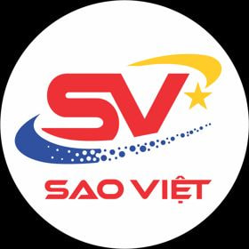 logo-truong-day-lai-xe-sao-viet