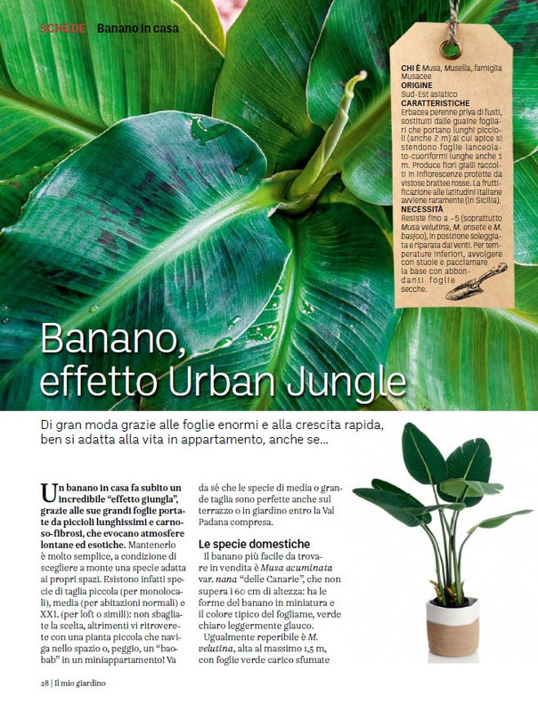 Il Mio Giar GIu-Lug 2024 (9)