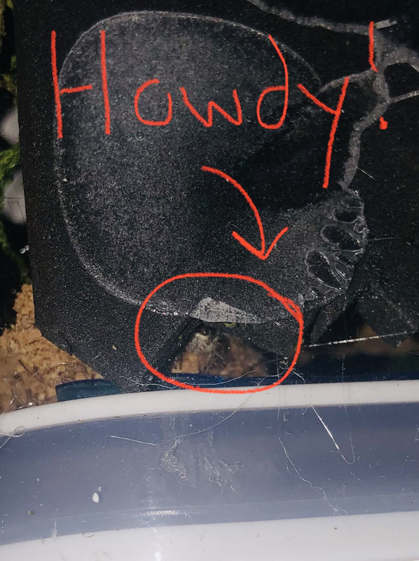 9F6EEB99-B751-4C11-8971-A34057C132BA