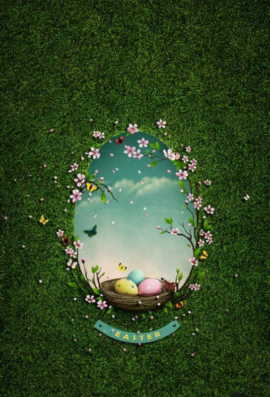 Screenshot_20230416_004731_Pinterest