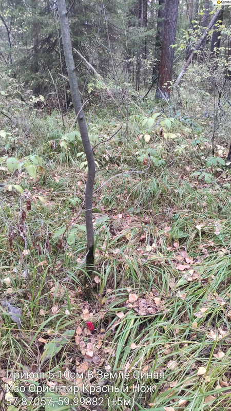 Изо Ориентир Красный Нож_Прикоп 5-10см В Земле Синяя_04102025_161842