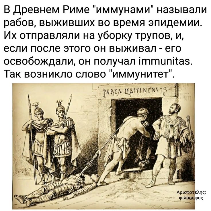 [Изображение: 37801eed84c20cc5d3df72af04b37b43.jpg]