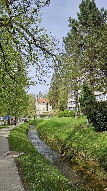 Slika