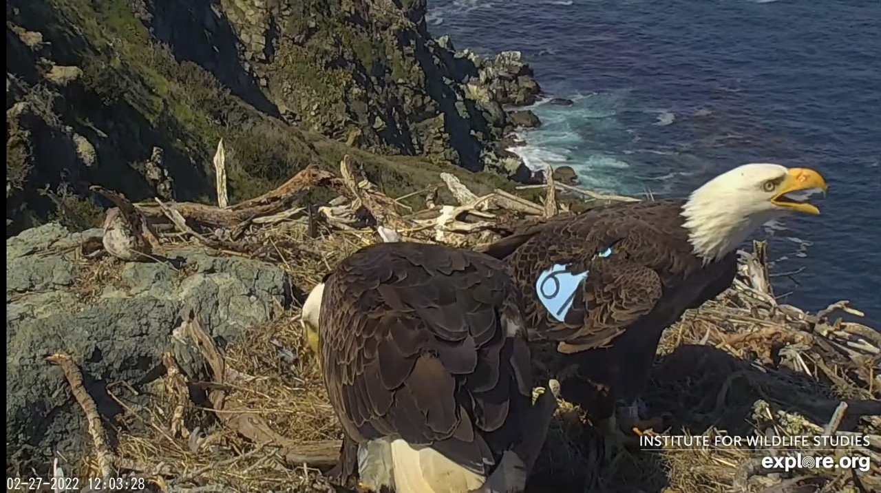 305007C6-C8DF-4021-AACD-55AC00287151