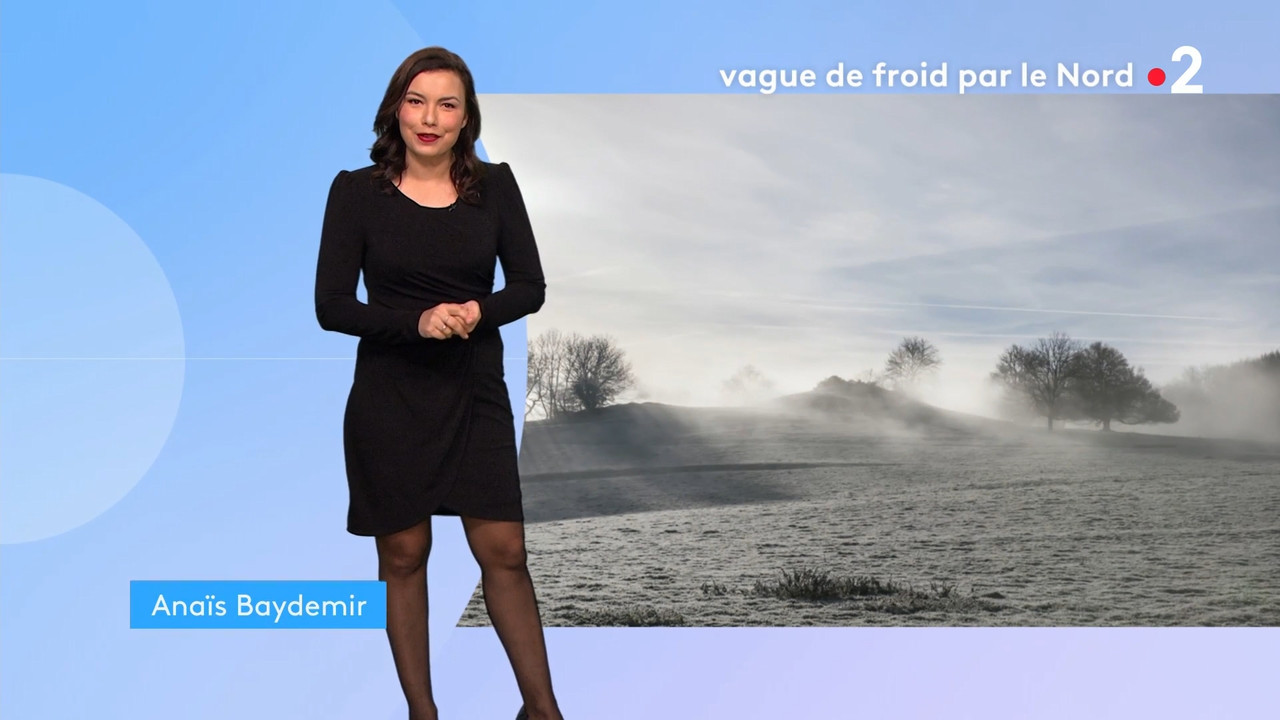 2021-02-08_12_50_Fr2_Meteo.mp4_snapshot_09.42.345